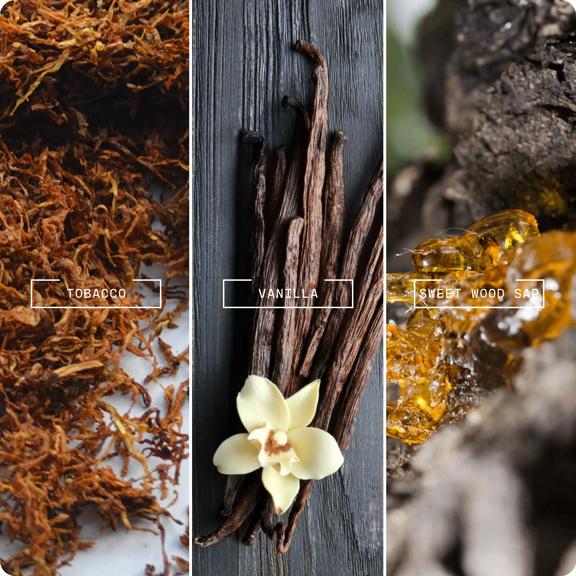 Vanilla Tobacco Luxe