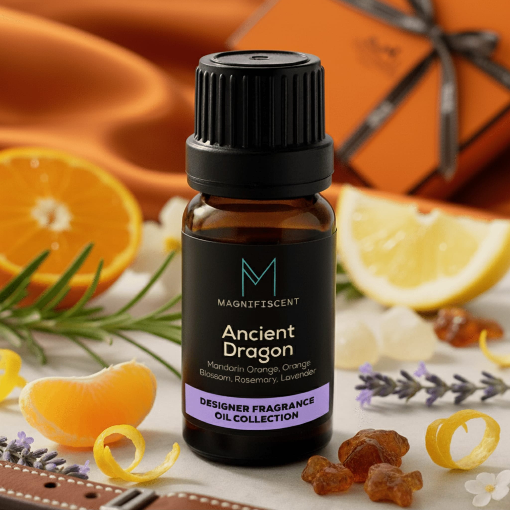 Ancient Dragon - Magnifiscent