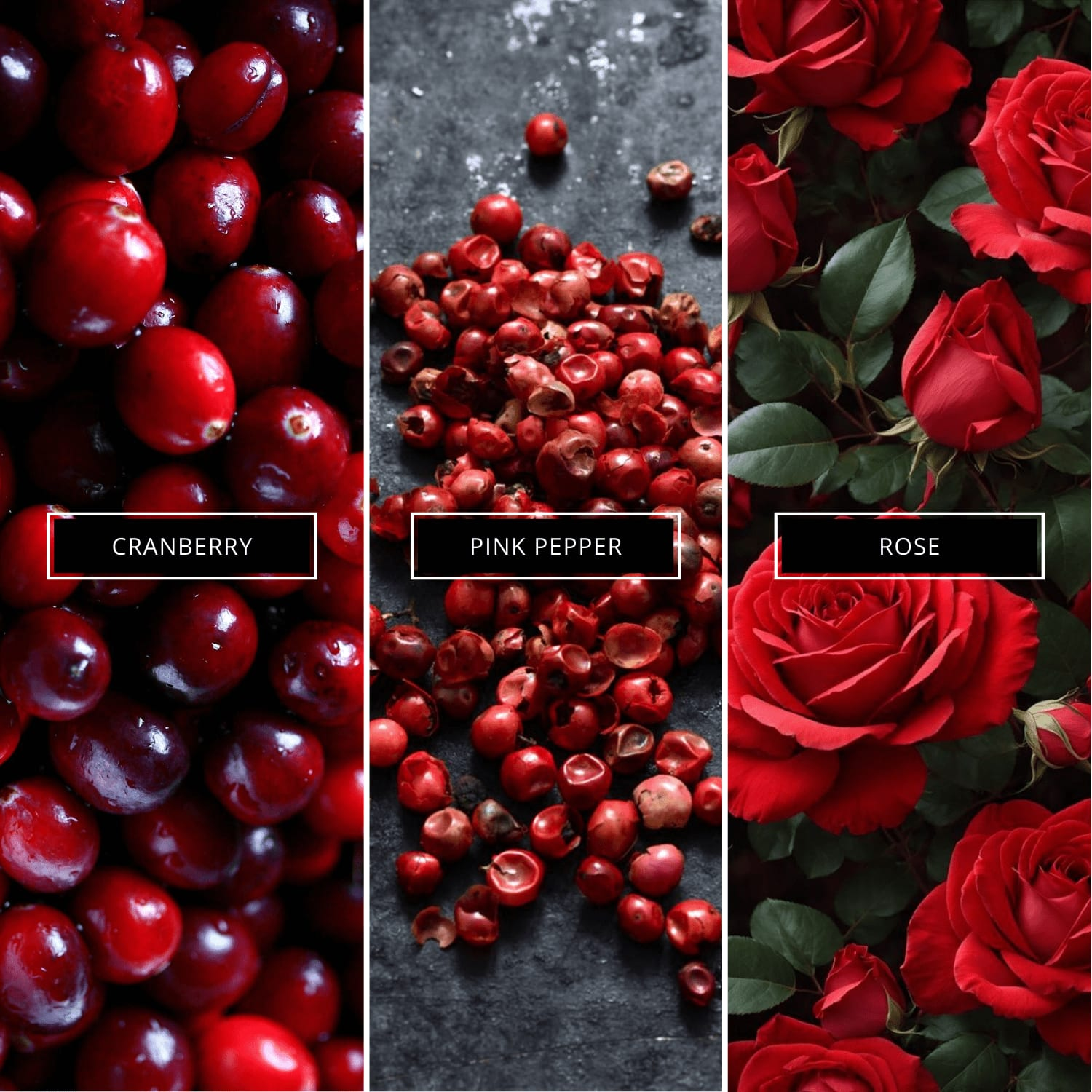 Black Excess Pour Elle - Magnifiscent