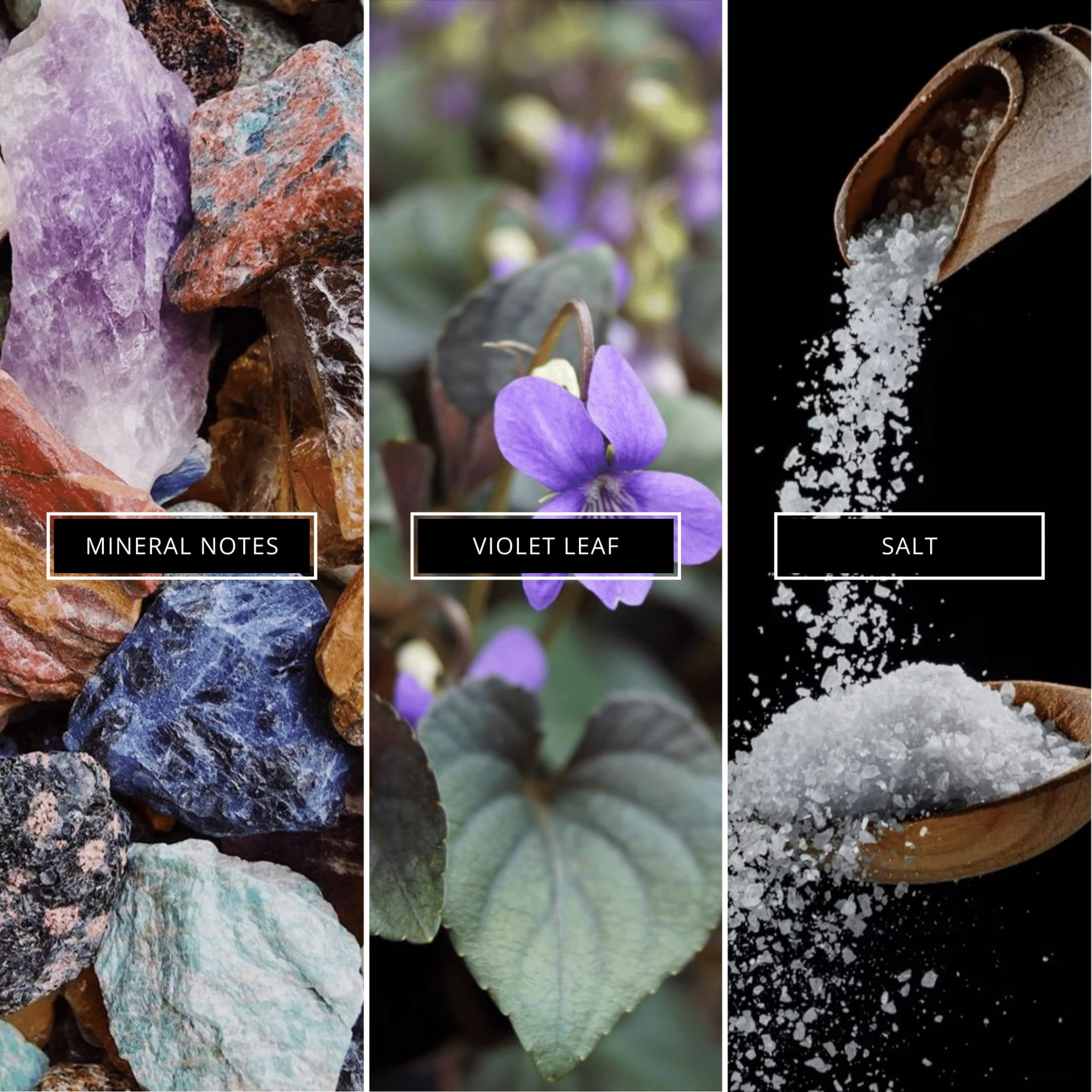 Born in Roma Men - Magnifiscent