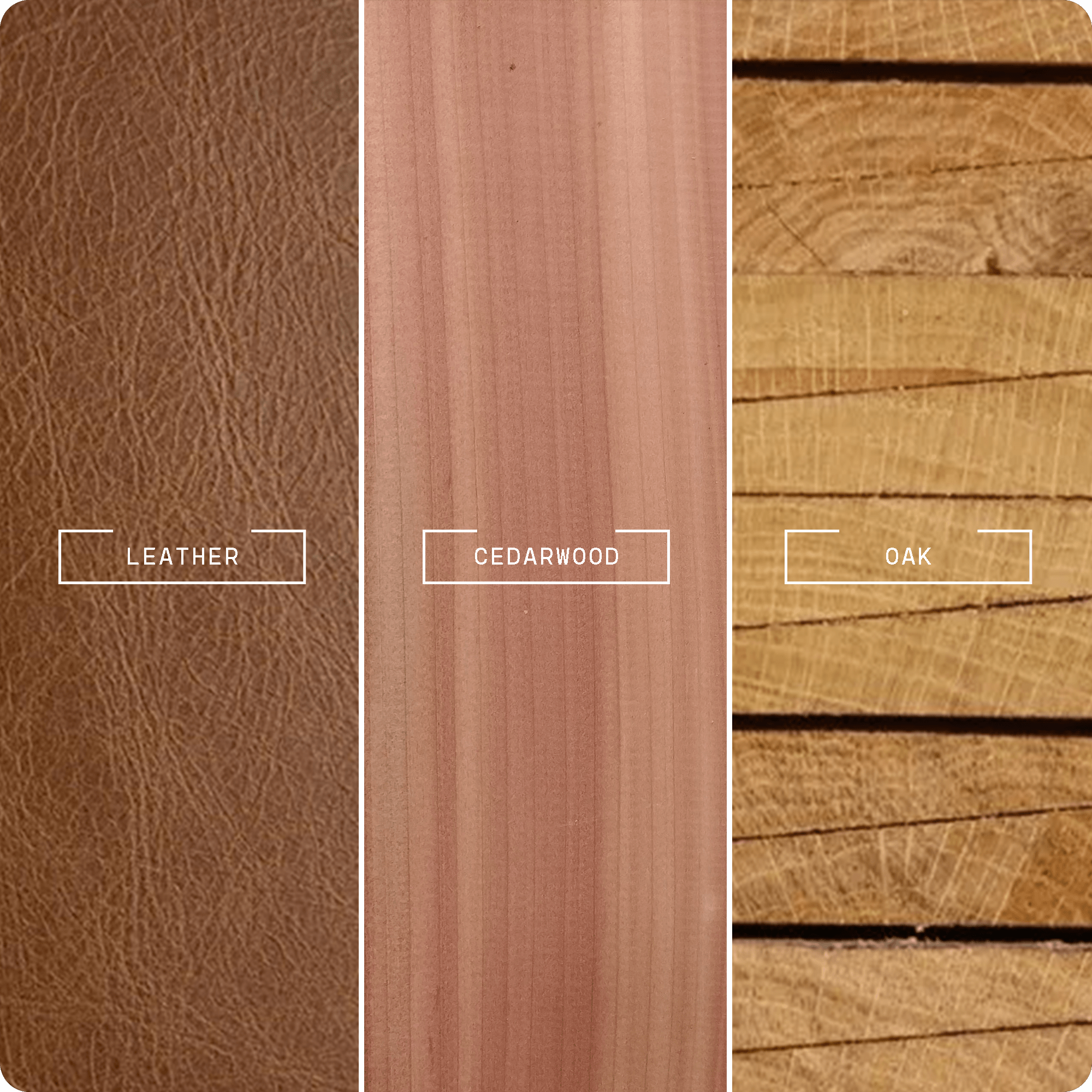 Havana Tobacco & Oak (20ml) - Magnifiscent