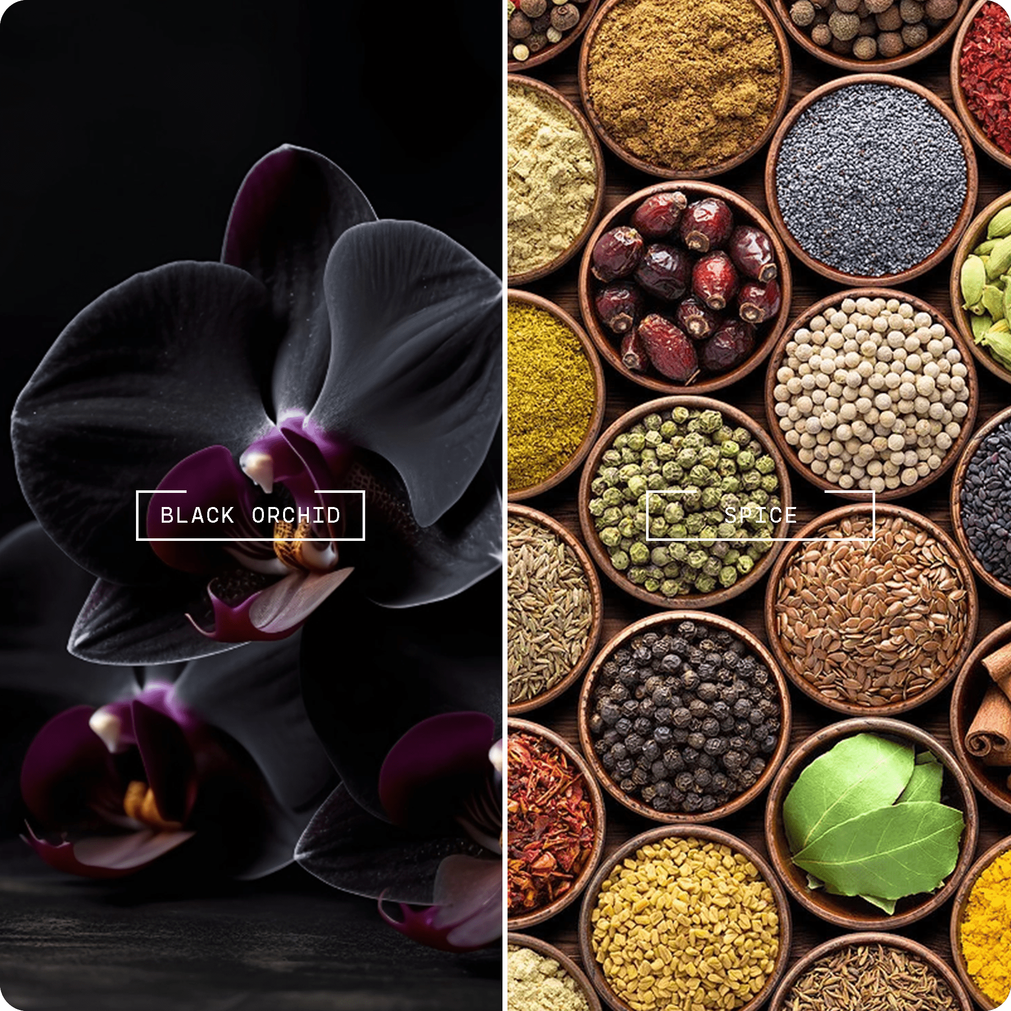 Noir Orchid Pendant Diffuser - Magnifiscent