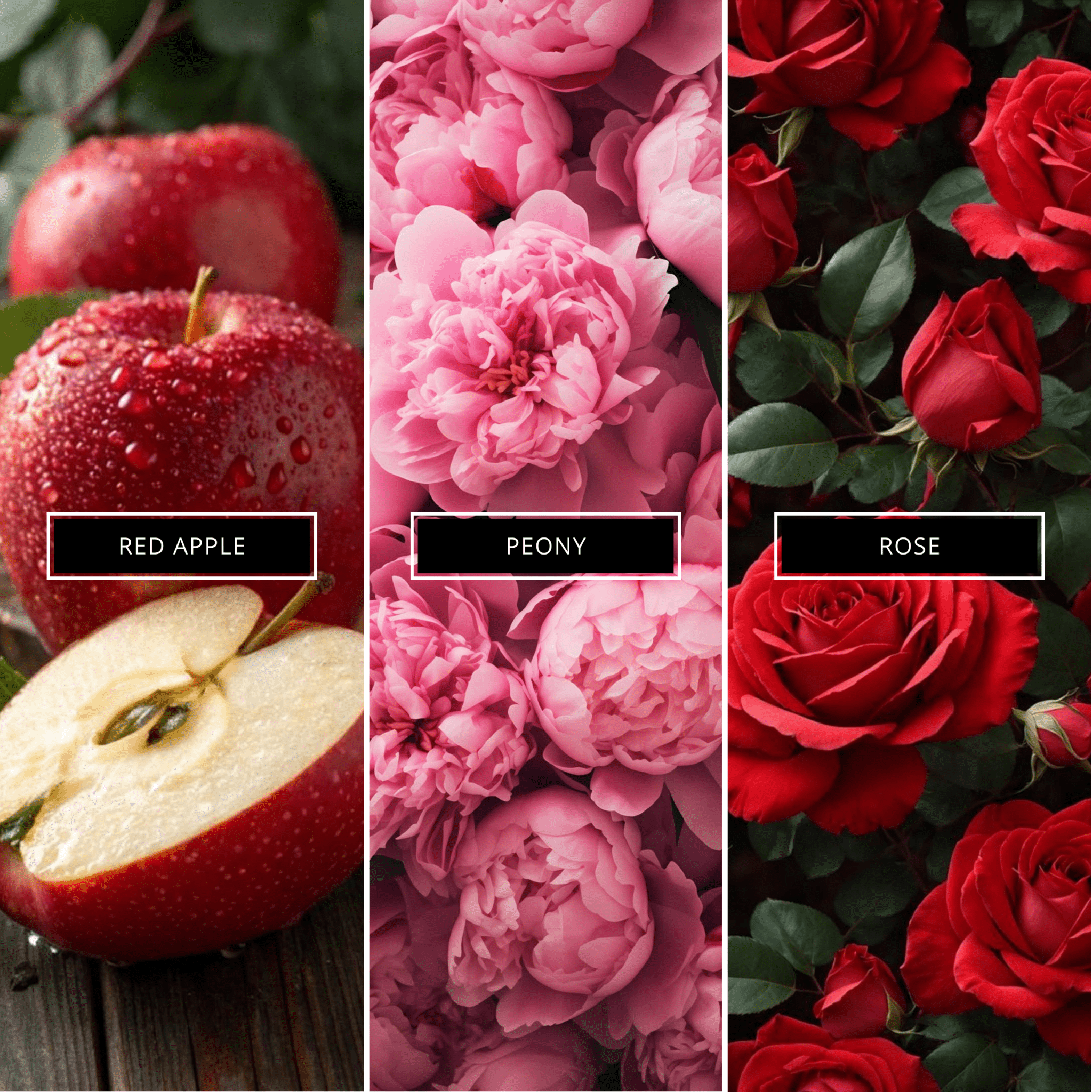 Peony & Blush Suede - Magnifiscent