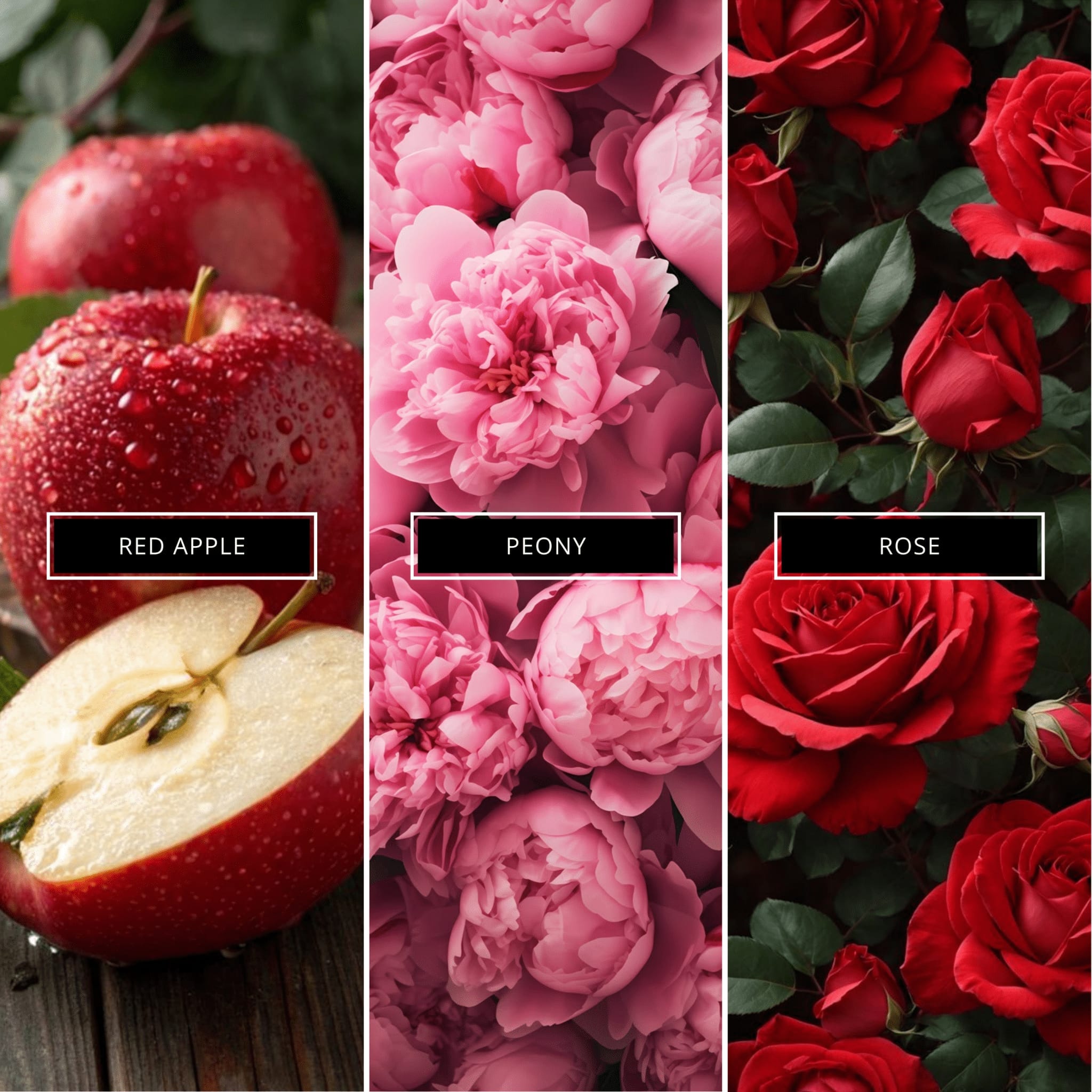 Peony & Blush Suede - Magnifiscent