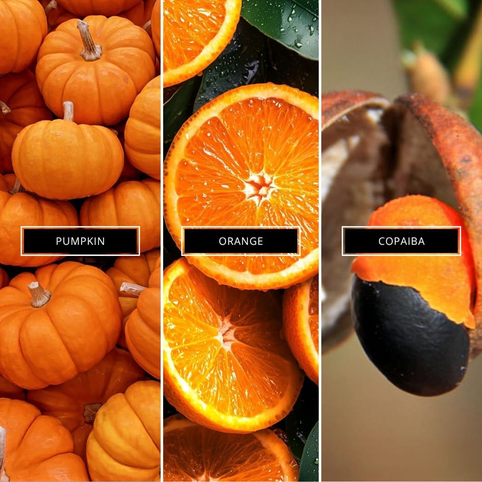 Pumpkin - Limited Edition - Magnifiscent