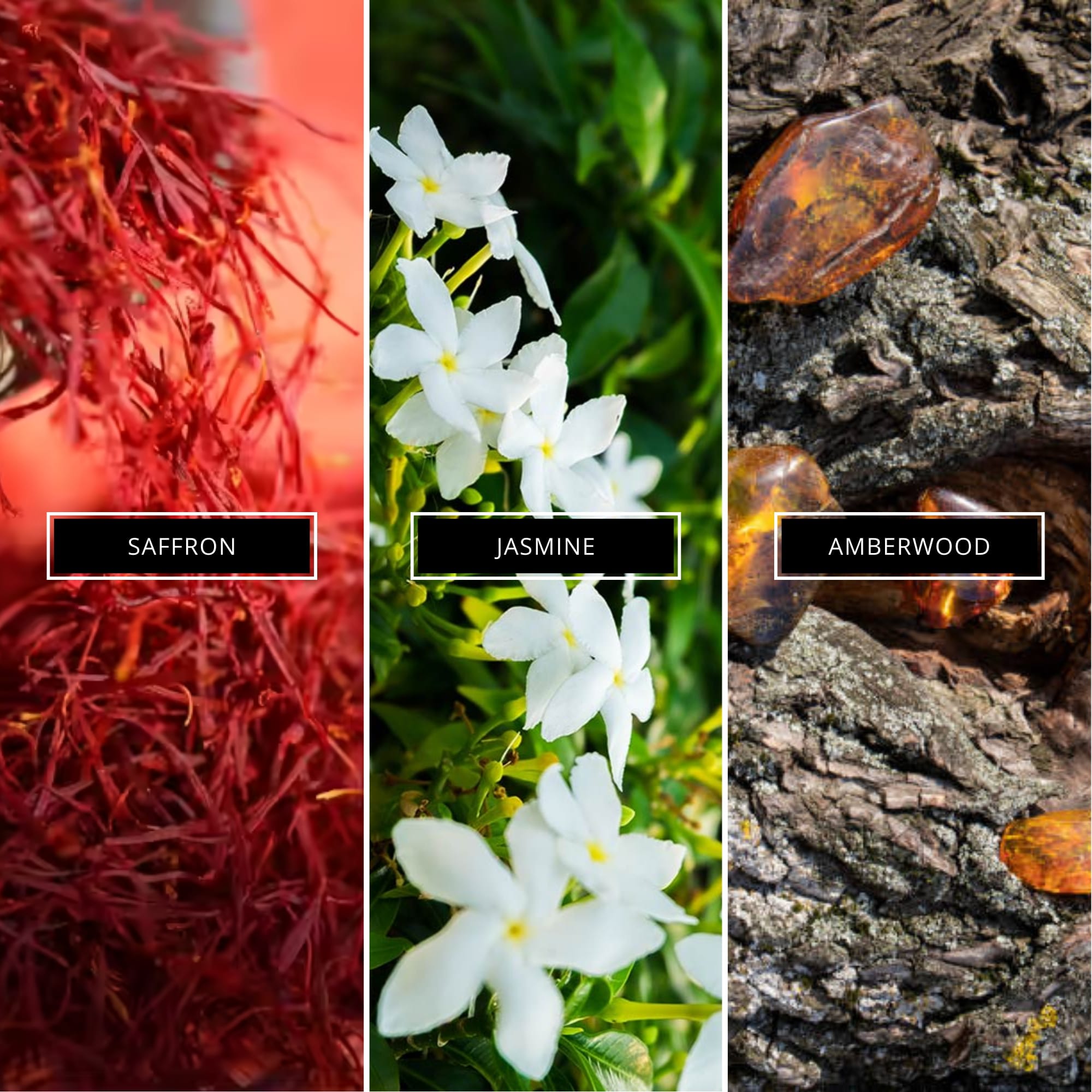 Rouge 540 - Magnifiscent