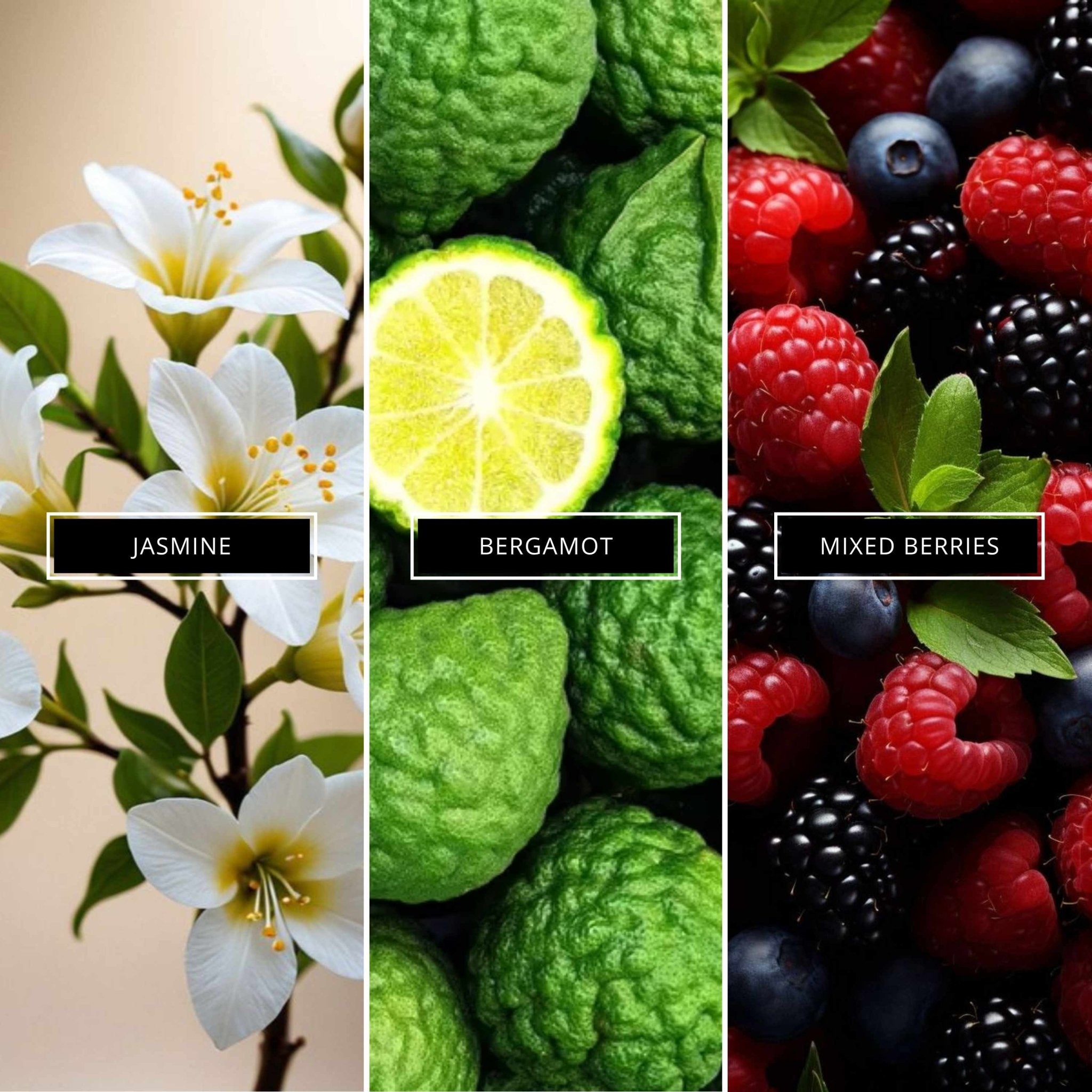 Sweet Jasmine with Free 4ml Tester - Magnifiscent