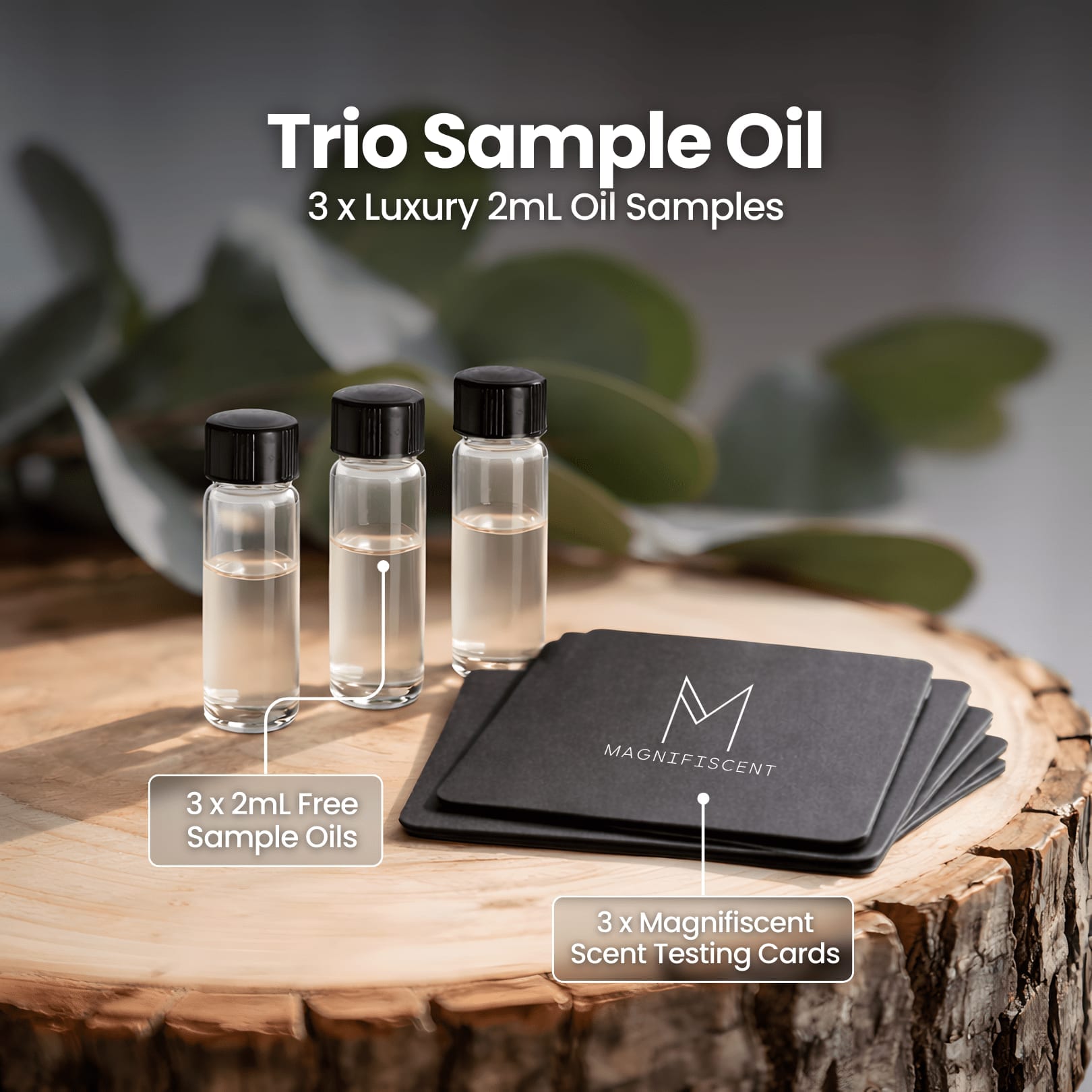 Trio Sample - Rain - Kissed Garden / Sage And Sea Salt / Golden Passage - Magnifiscent