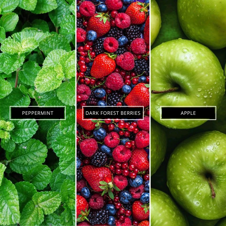 Winter - Limited Edition - Magnifiscent