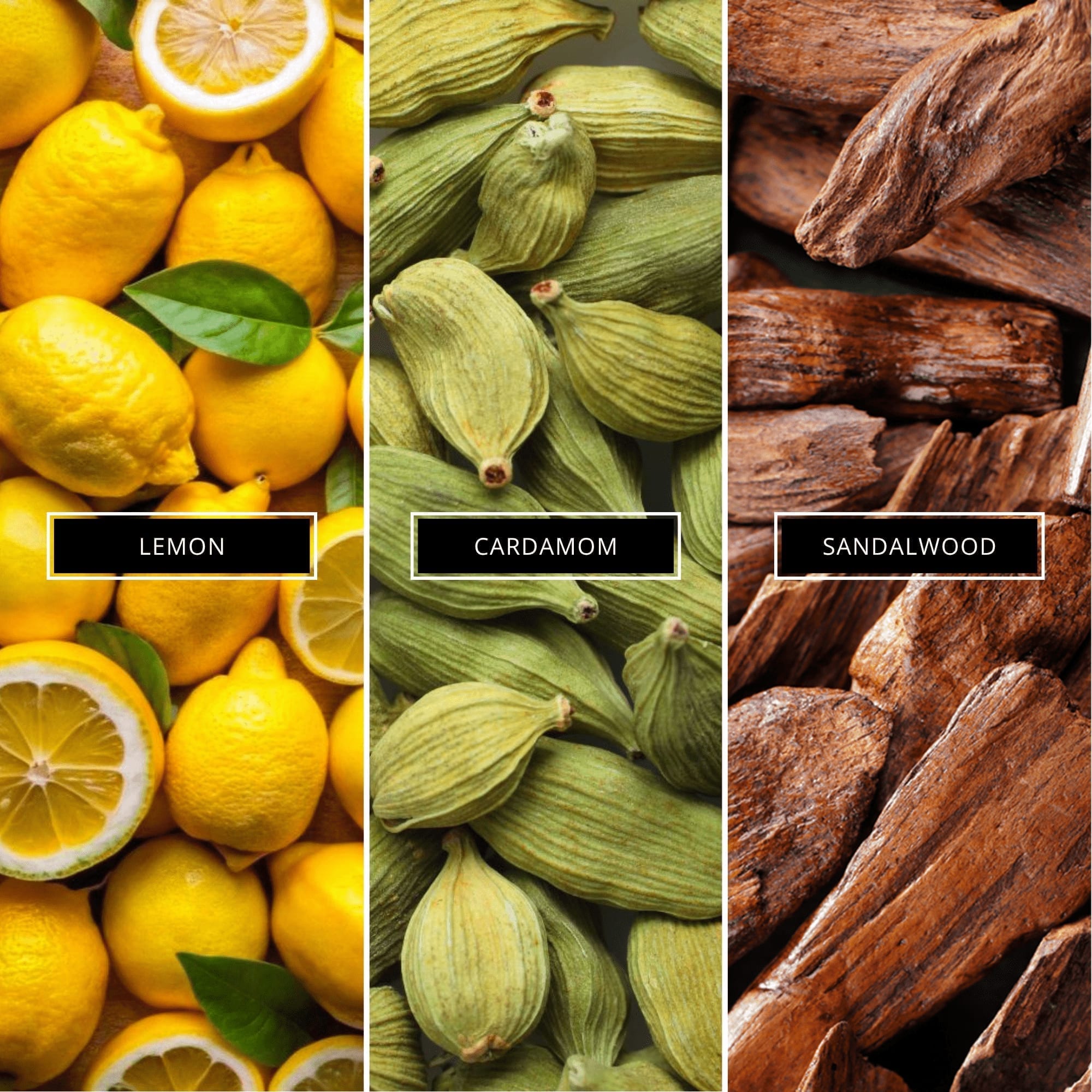 Your Way - Magnifiscent