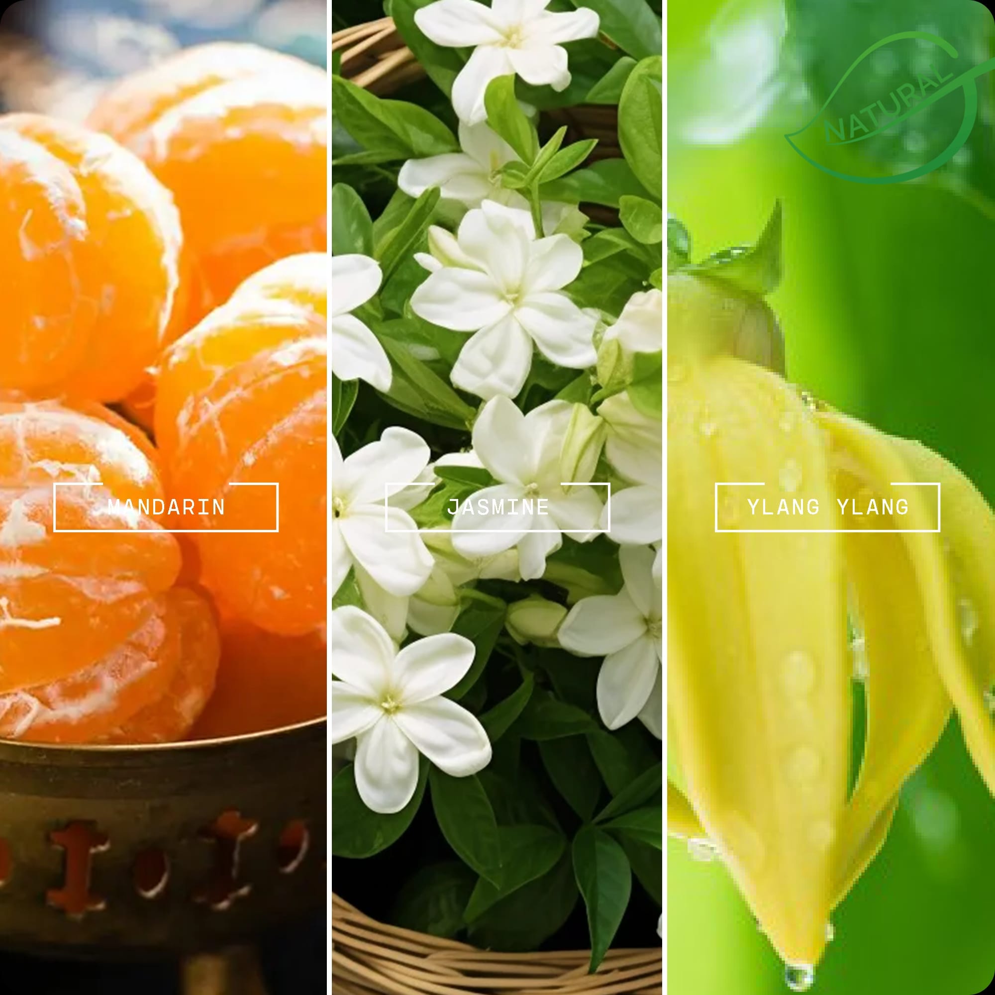 Coco | Luxury Fragrance Oil | Magnifiscent