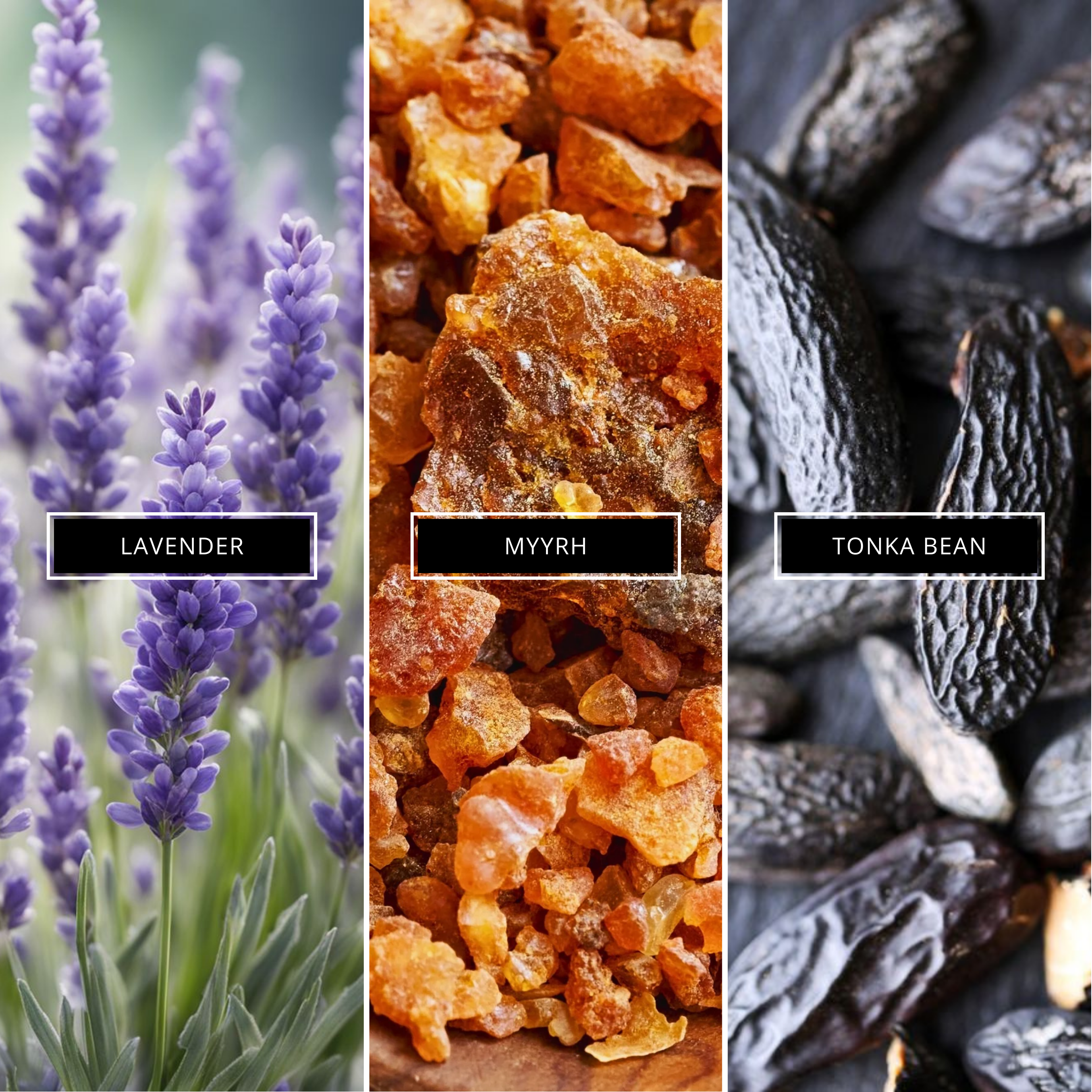 Myrrh & Tonka