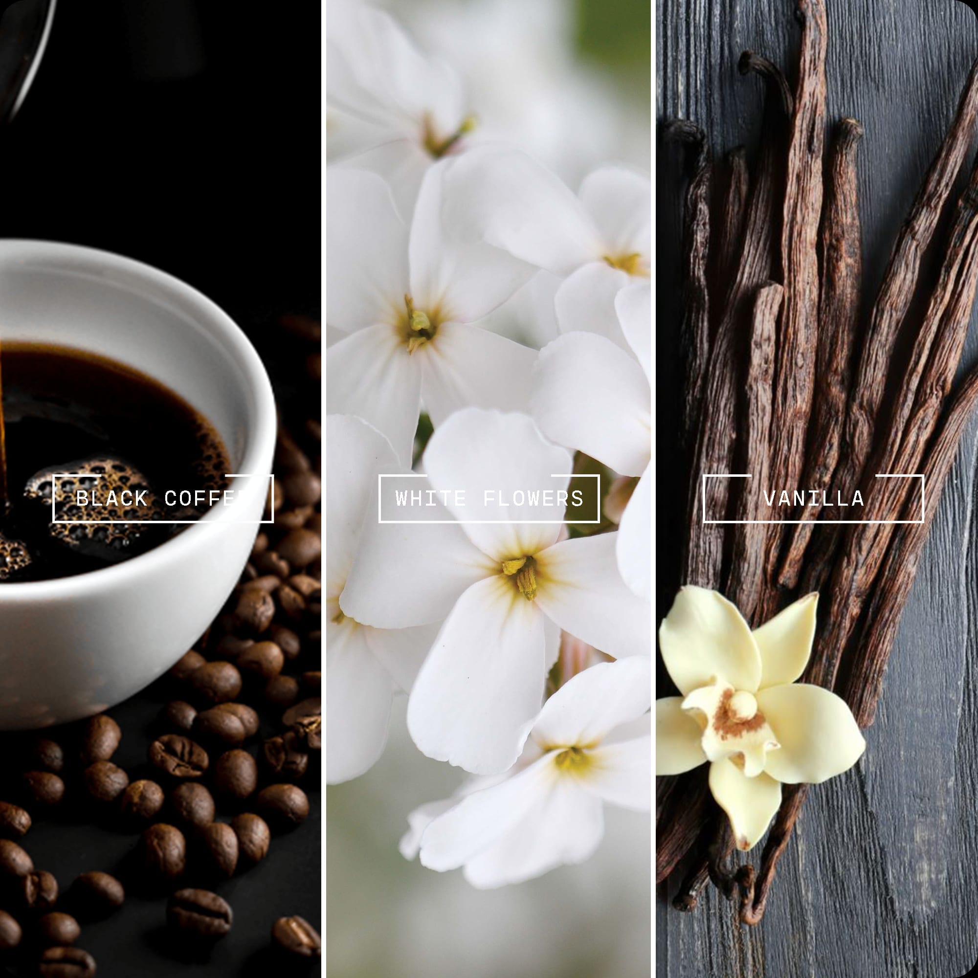 Opium by Magnifiscent