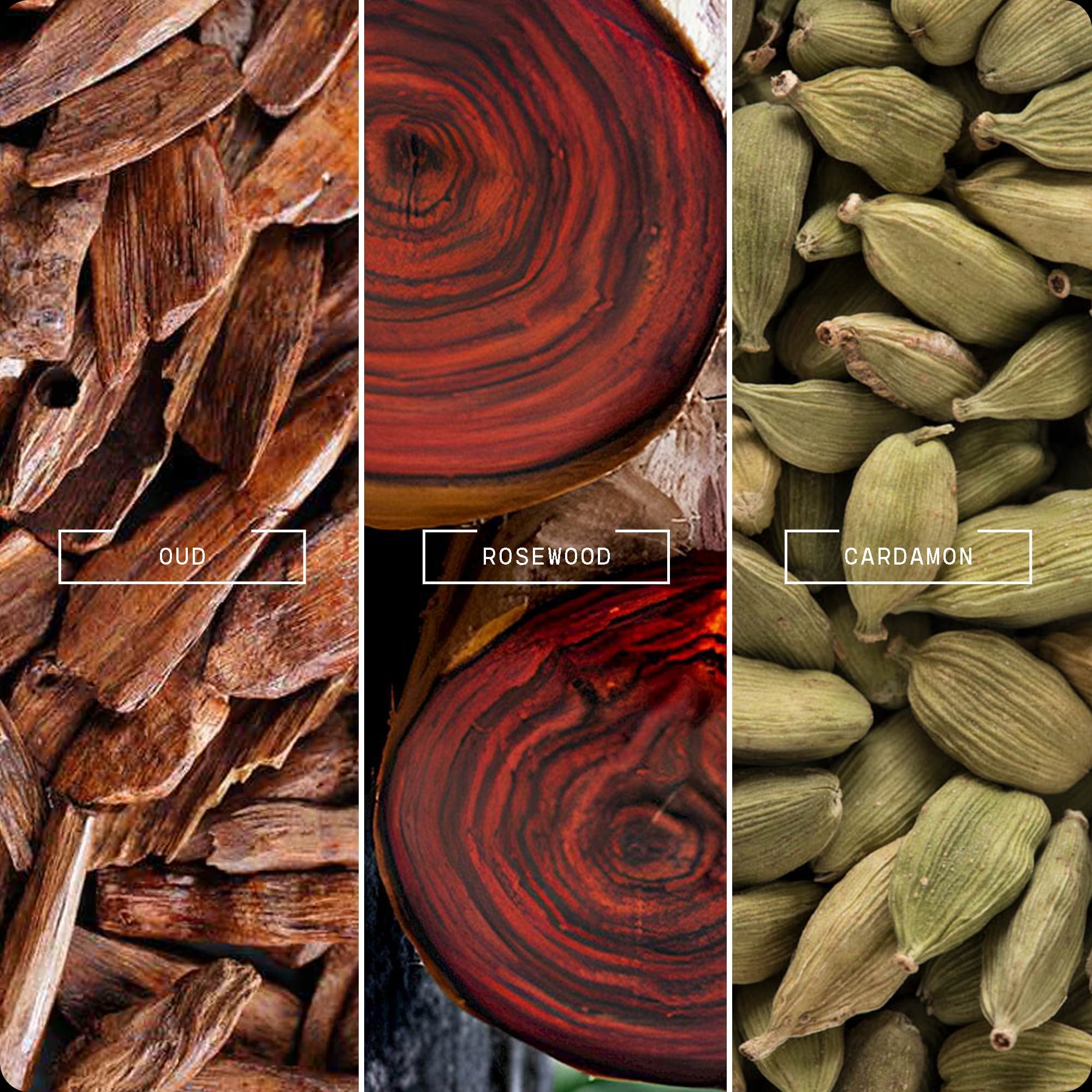 Oud Wood by Magnifiscent