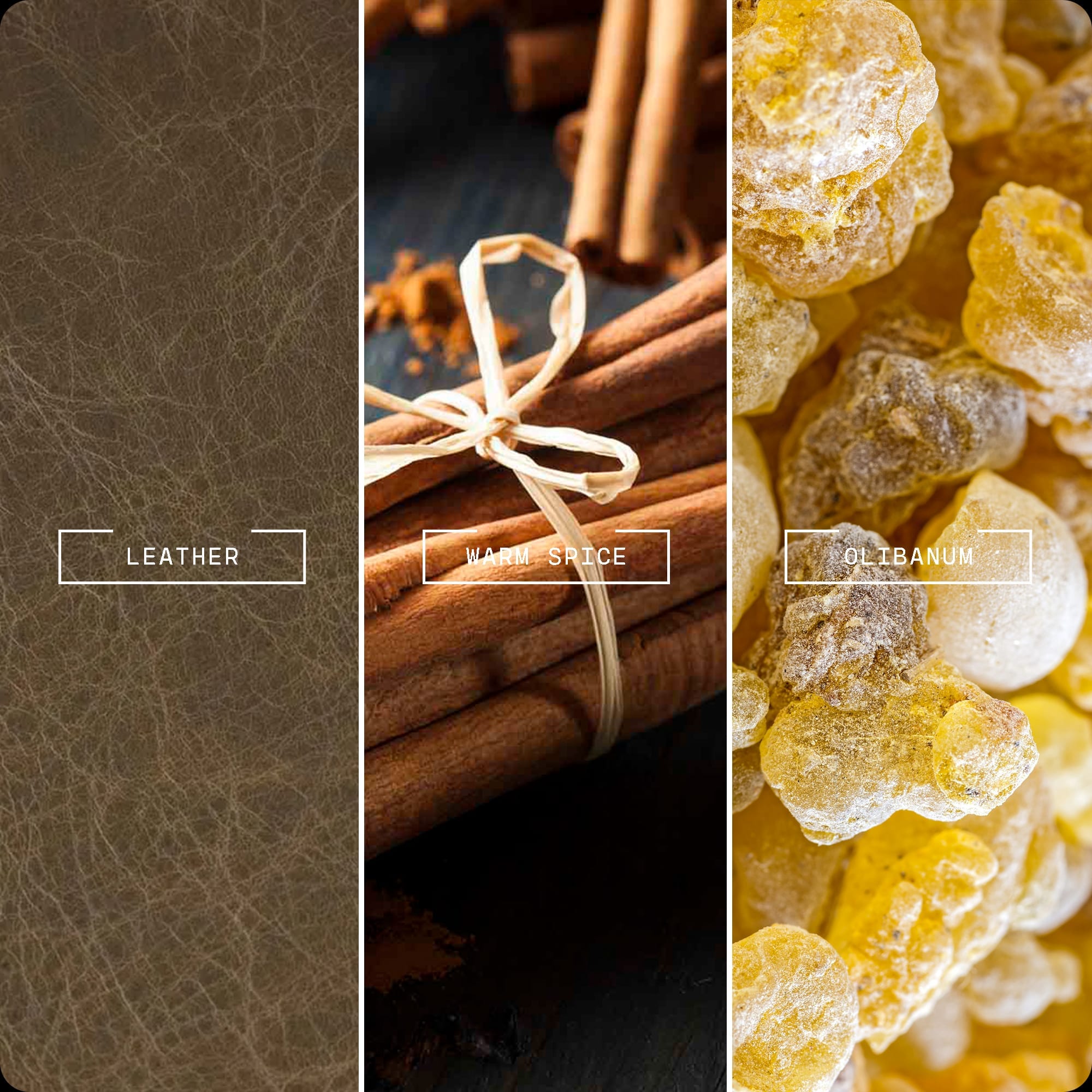 Tuscan Leather by Magnifiscent