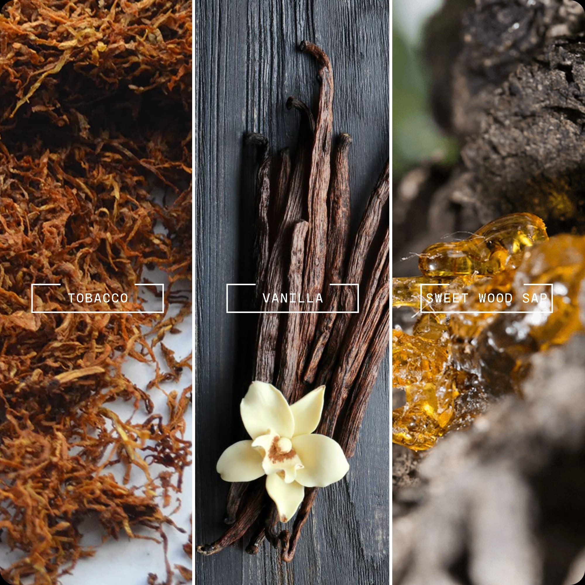 Vanilla Tobacco Luxe by Magnifiscent