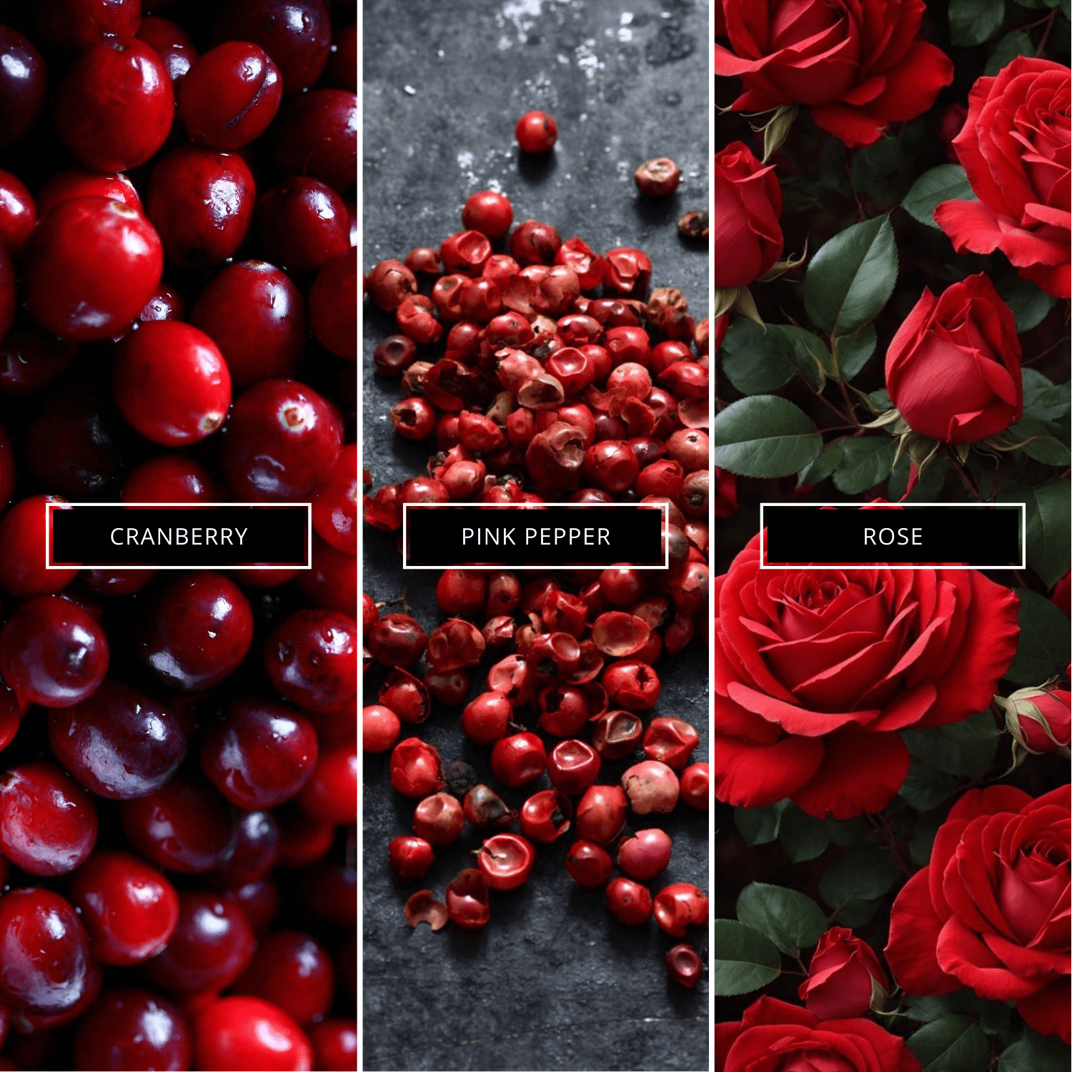 Black Excess Pour Elle - Magnifiscent