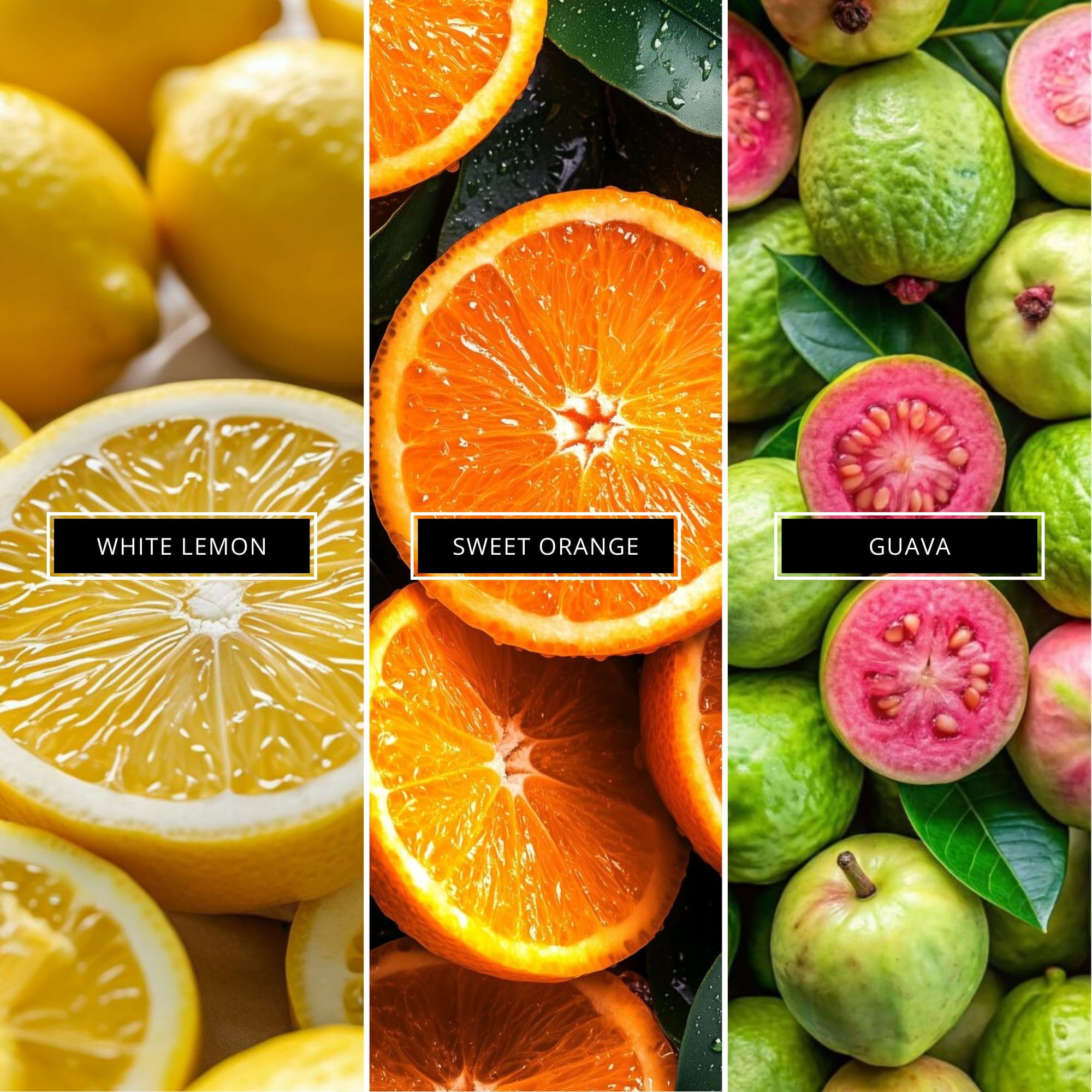 Celestial Hideaway - Magnifiscent