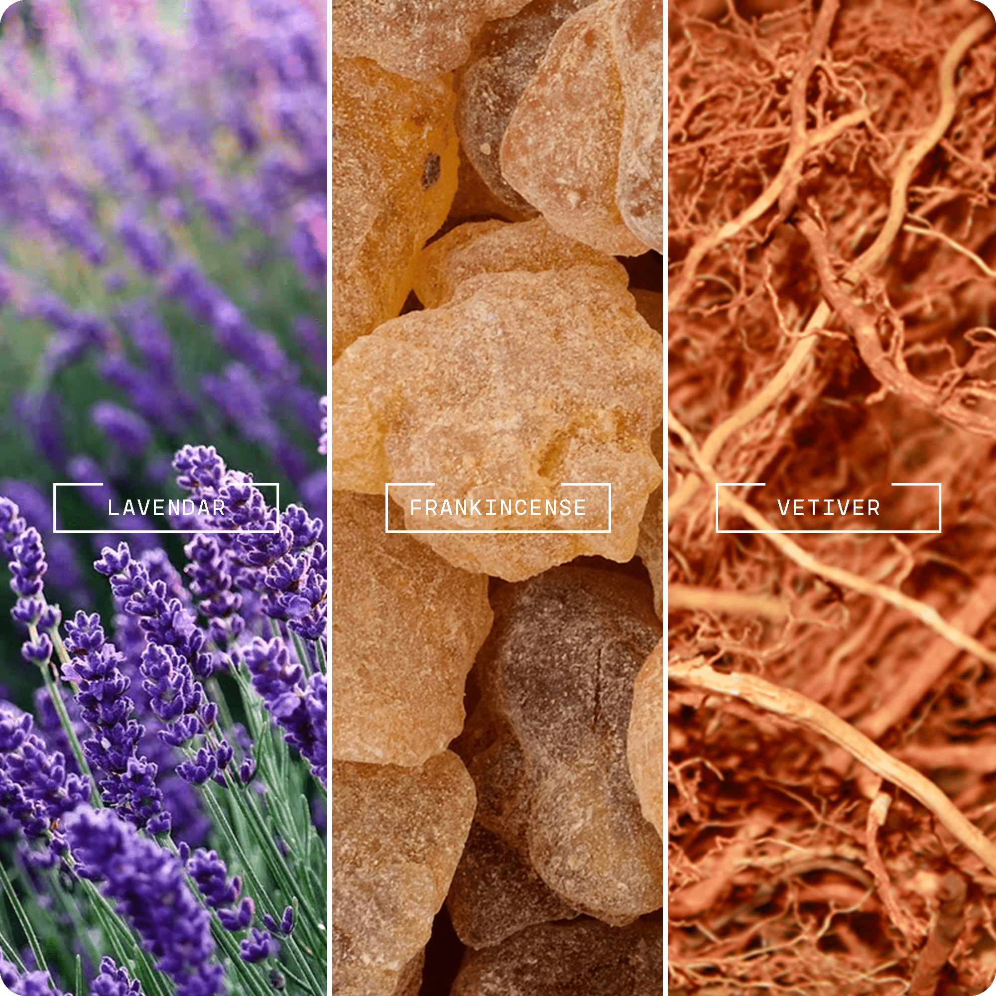 Deeper Sleep (20ml) - Magnifiscent