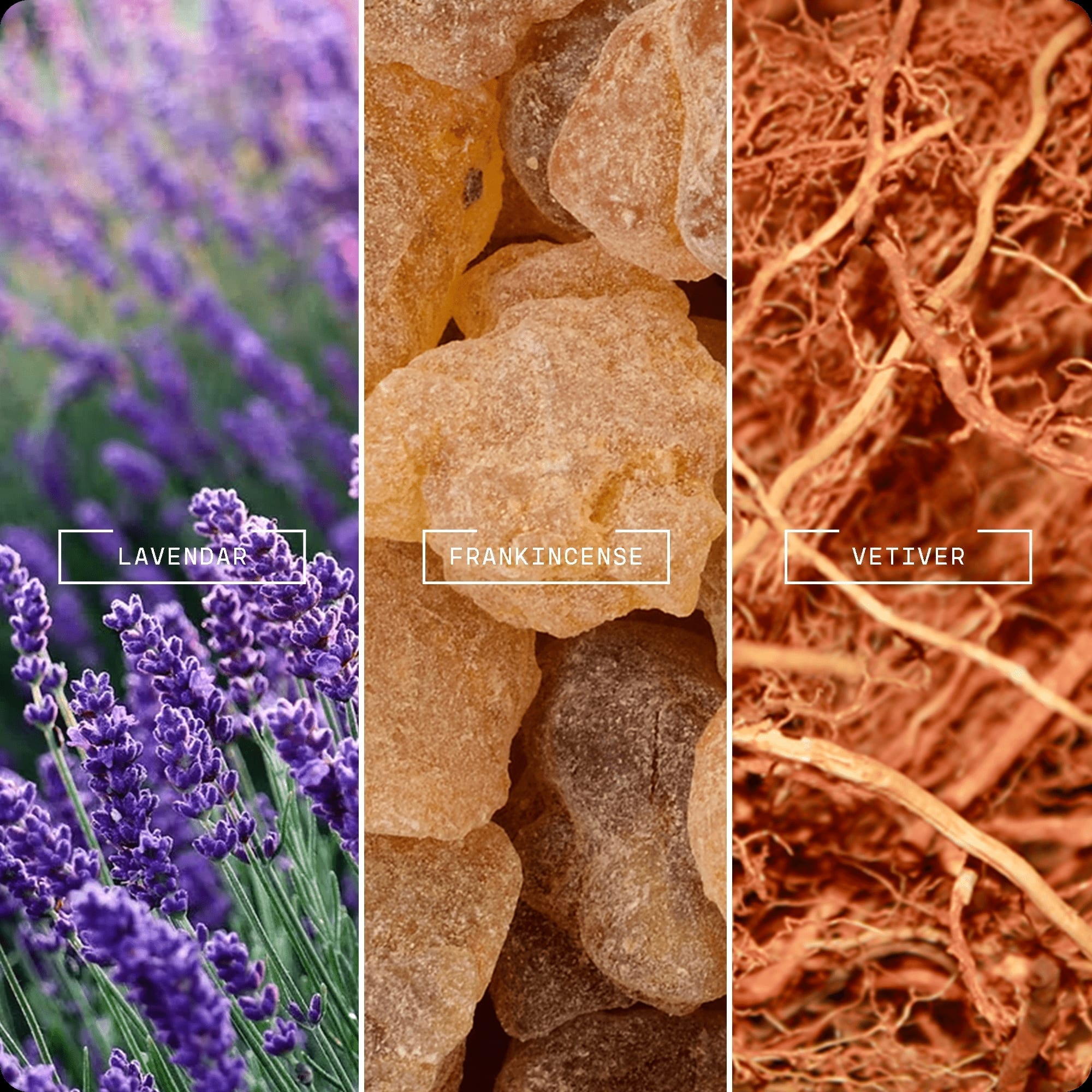 Deeper Sleep - Magnifiscent