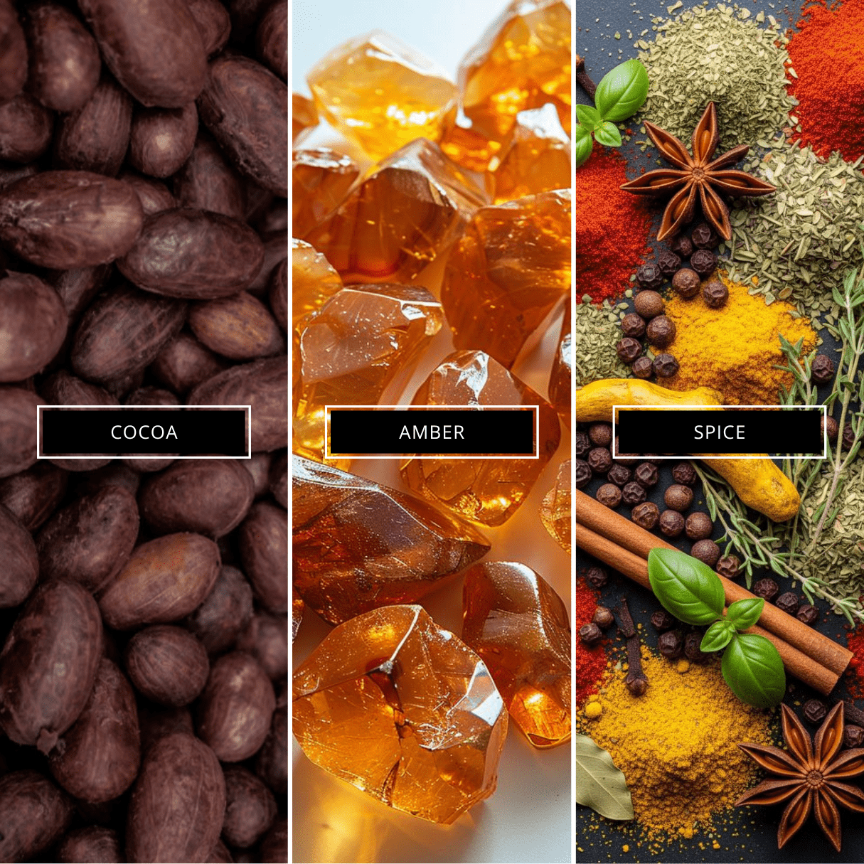 Fireside - Limited Edition - Magnifiscent