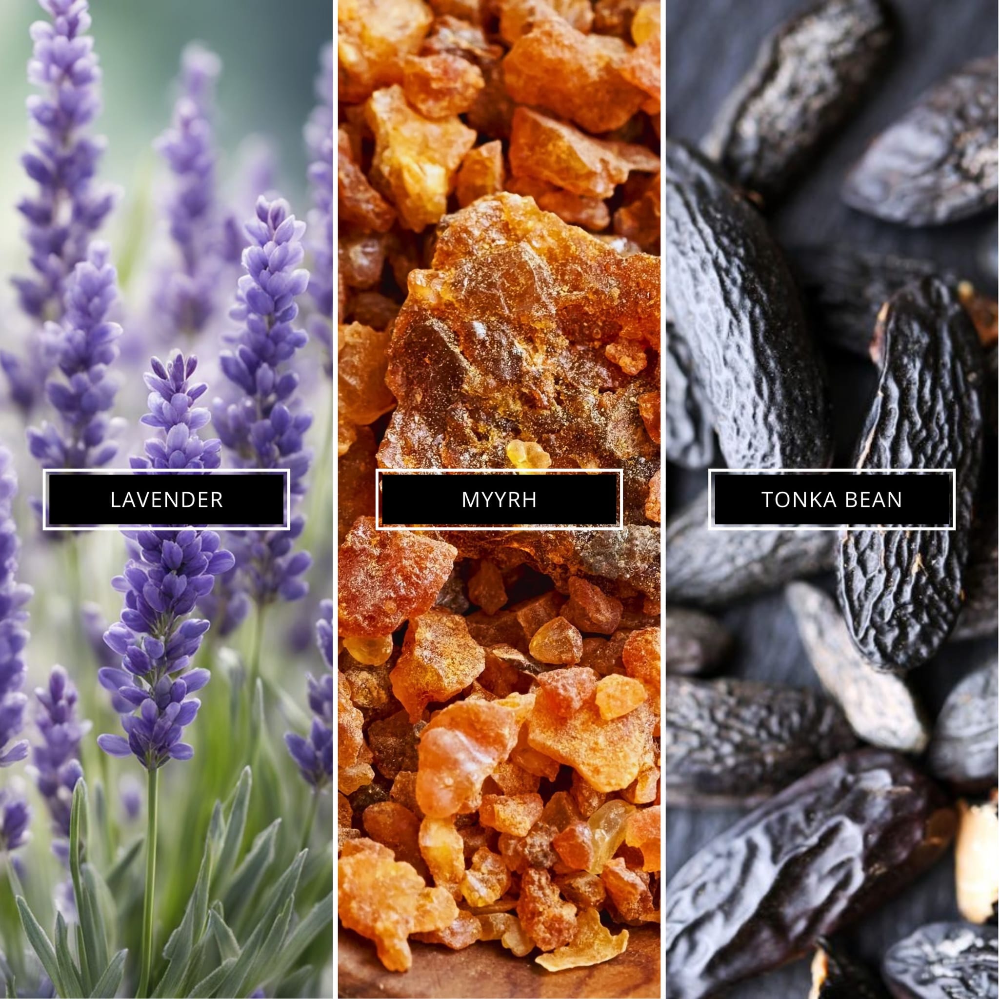 Myrrh & Tonka - Magnifiscent