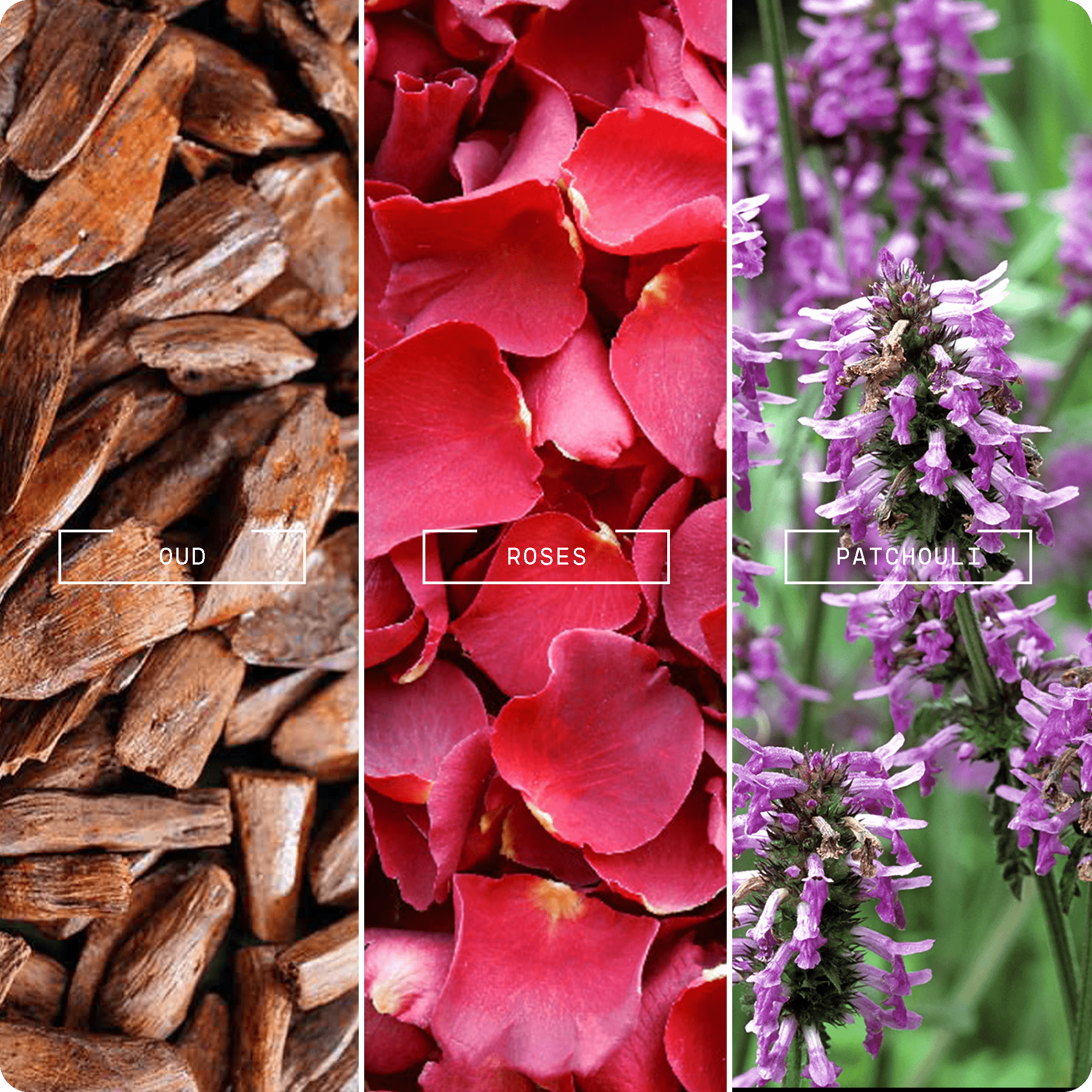 Noir Oud (20ml) - Magnifiscent