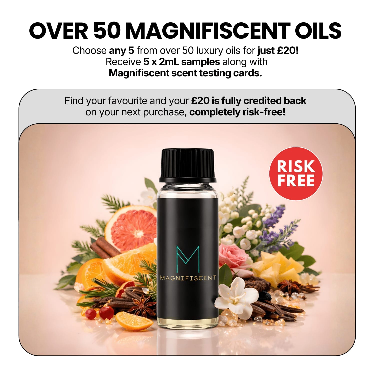 Oil Sample Bundle Selector 5 x 2ml Samples (Get £20 off next order) - Magnifiscent