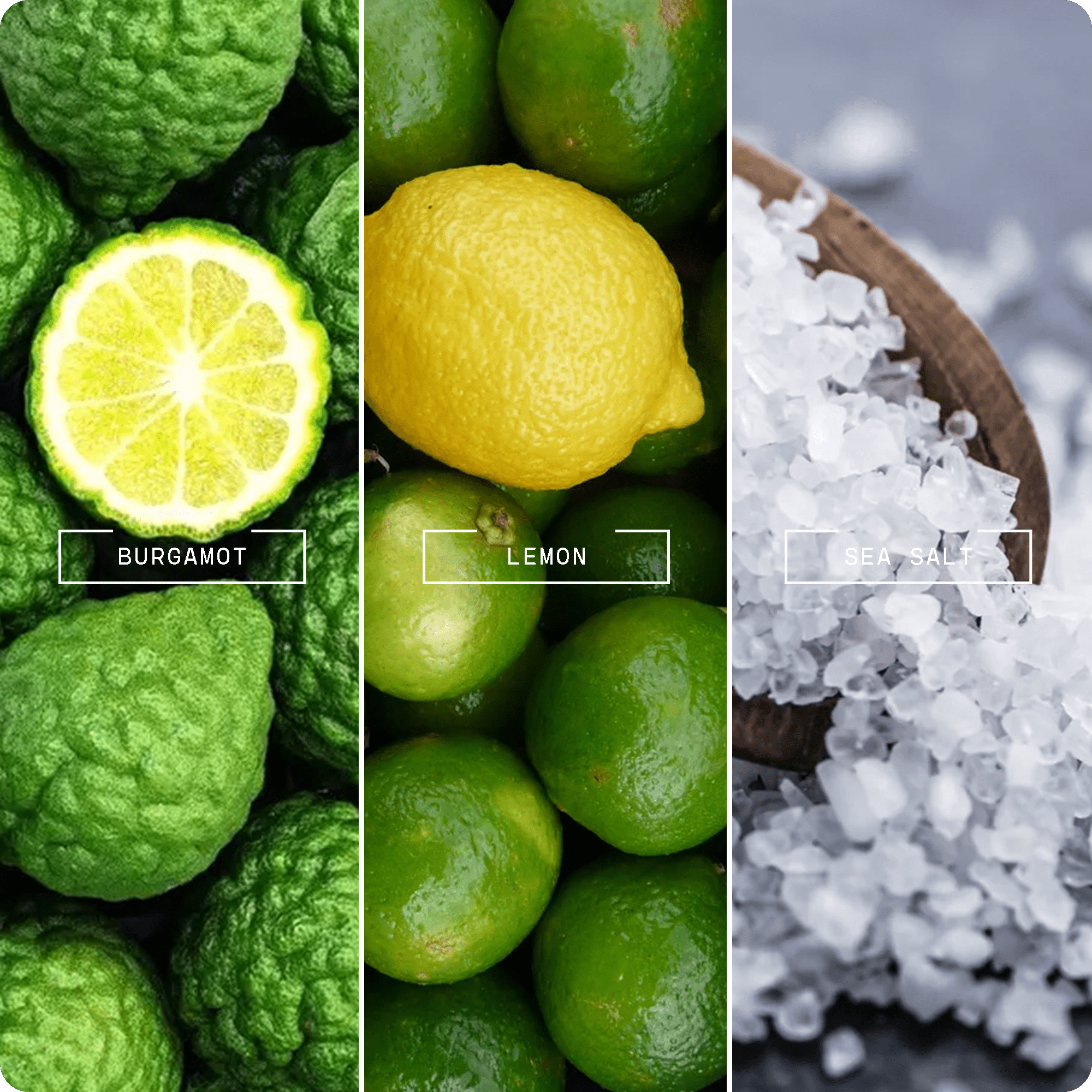 Rain - Kissed Garden (20ml) - Magnifiscent