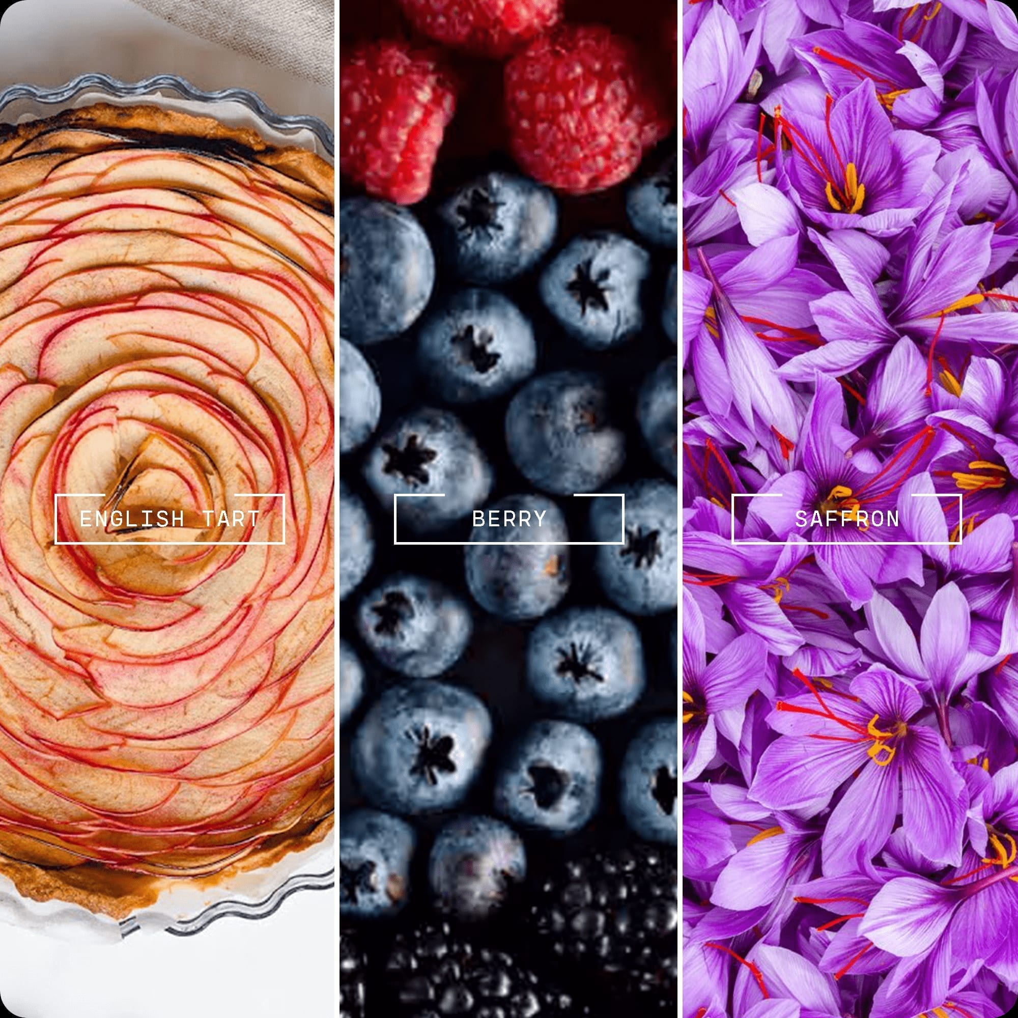 Rouge Oud - Magnifiscent