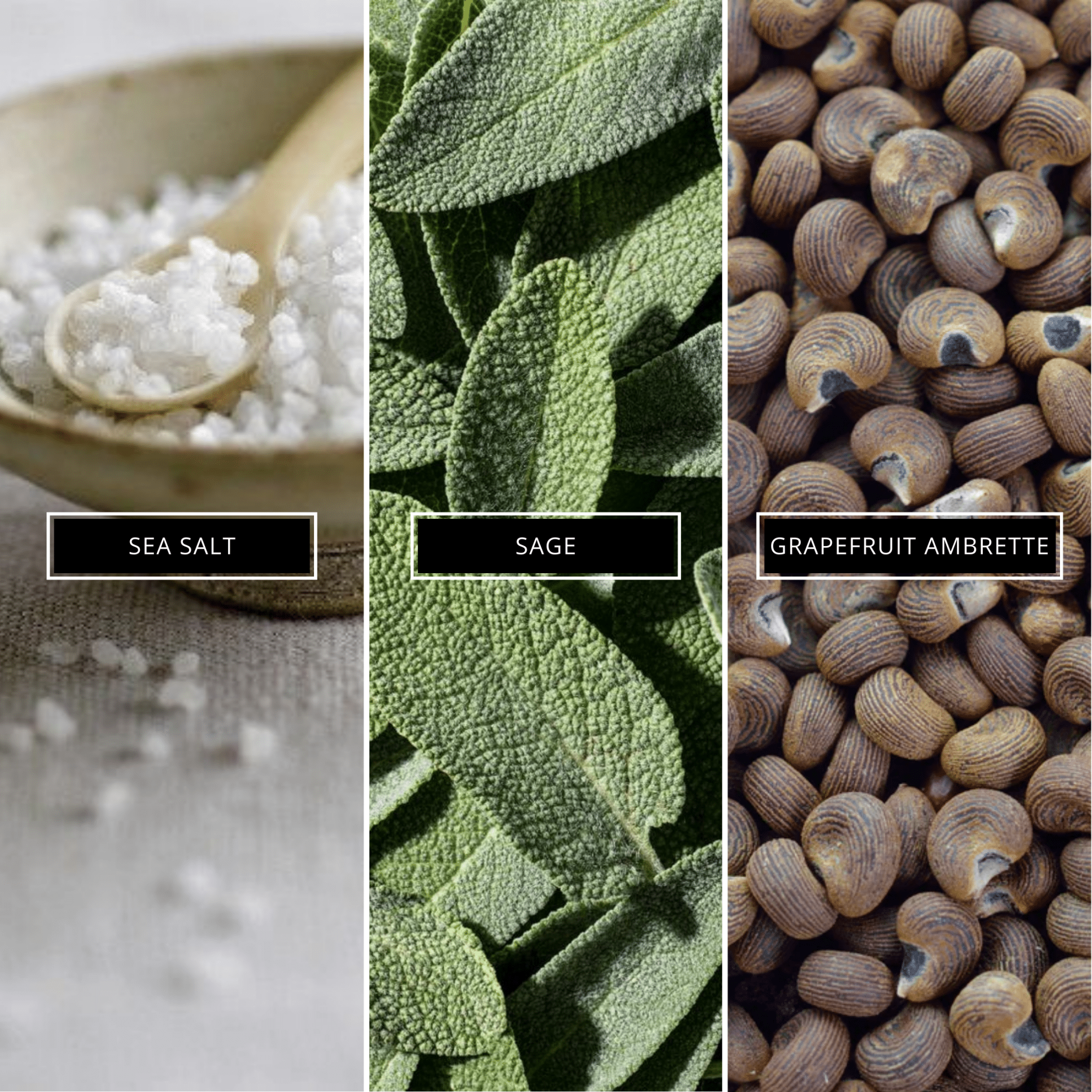 Sage And Sea Salt - Magnifiscent