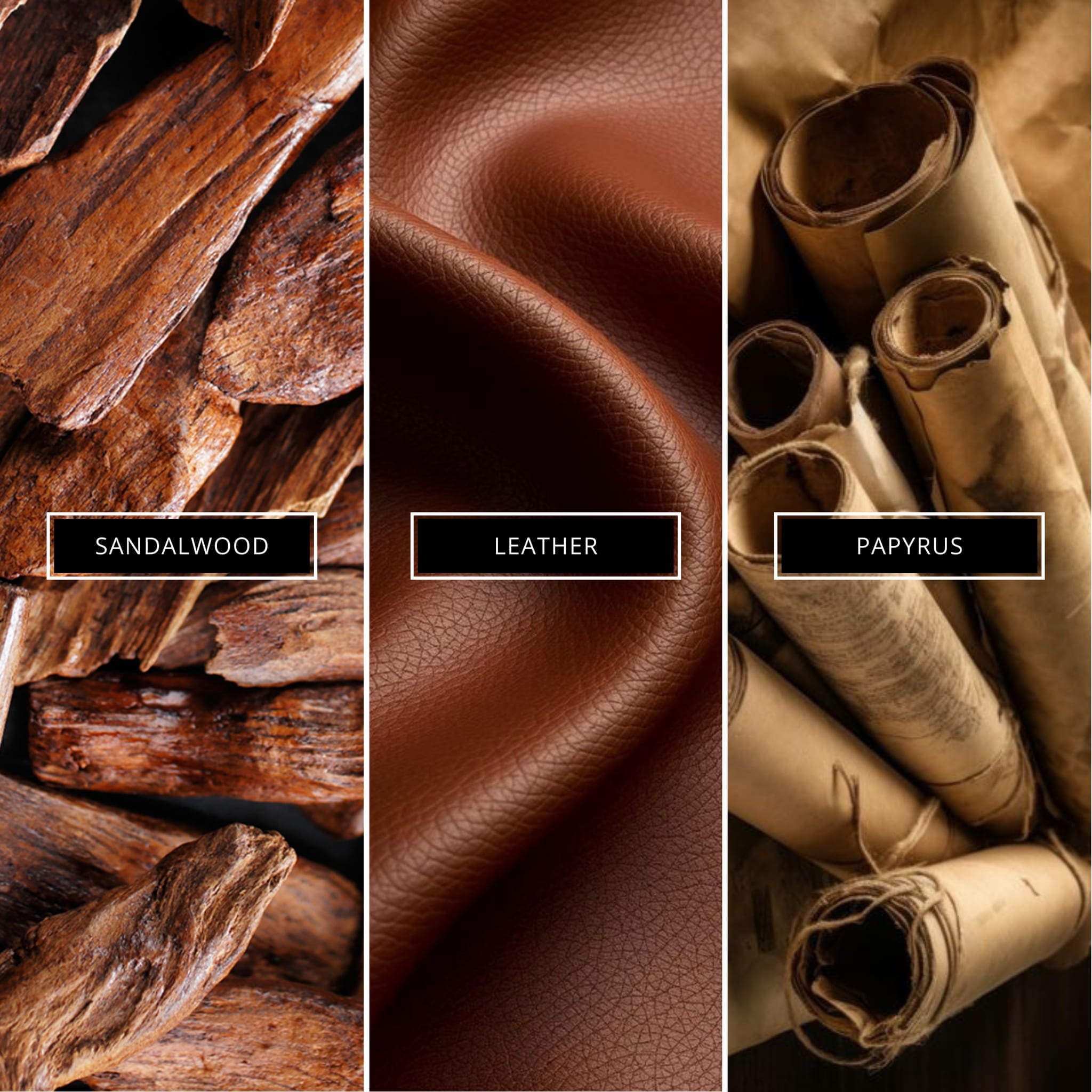 Santalwood33 - Magnifiscent