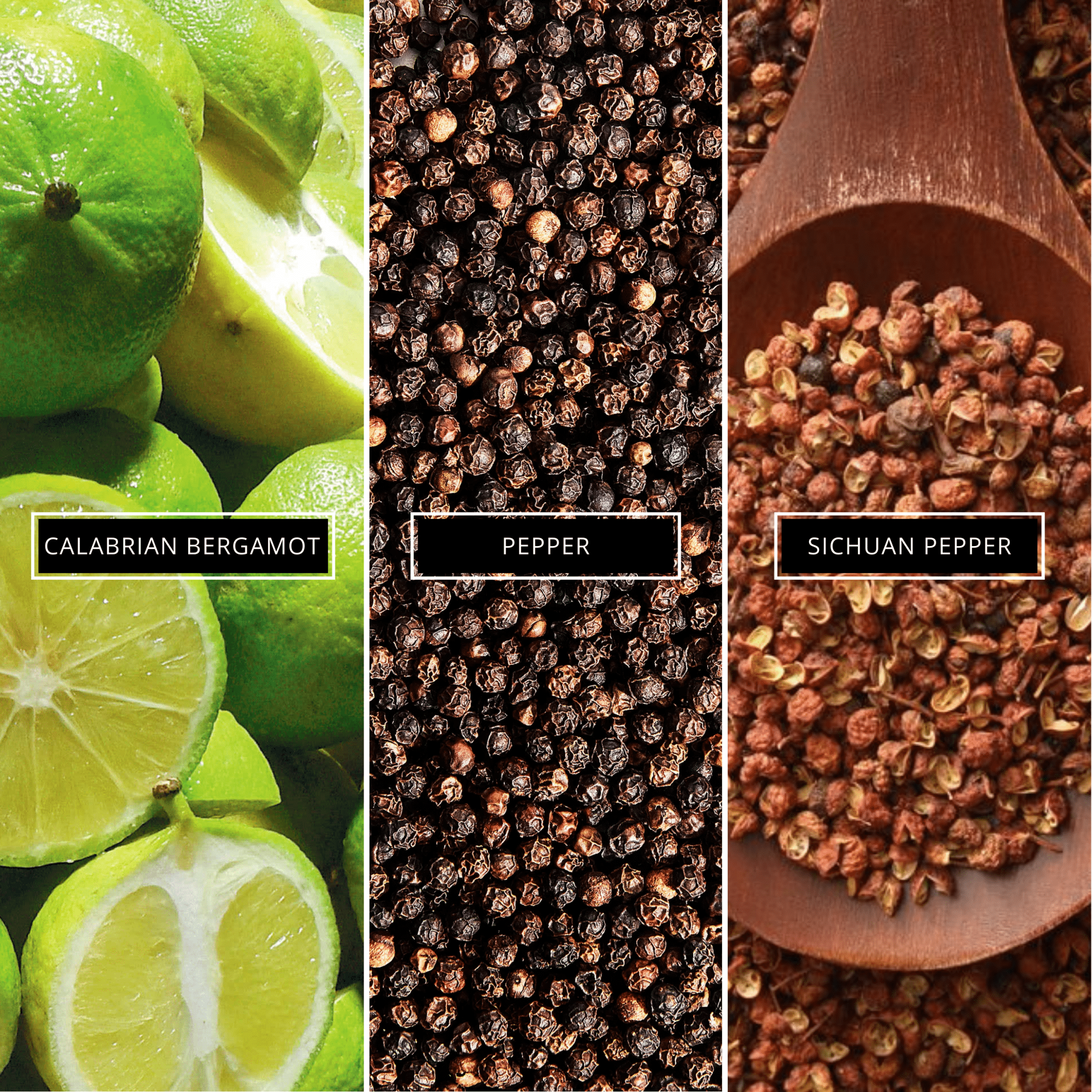 Sauvage - Magnifiscent