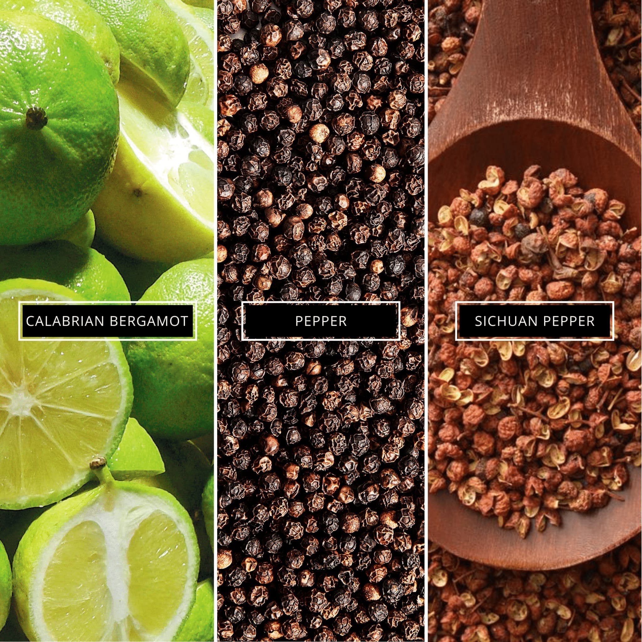 Sauvage - Magnifiscent