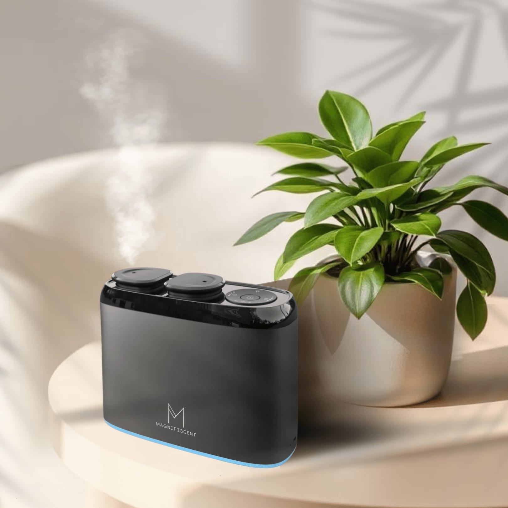 ZenDuo Starter Bundle - 2 x Oils included! - Magnifiscent