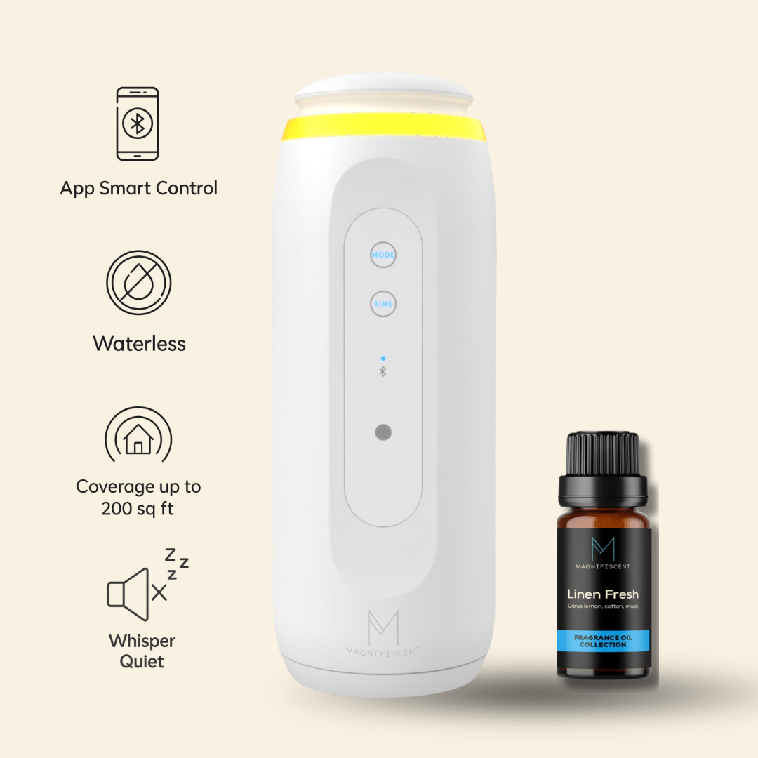 ZenPlug Starter Set – Bluetooth Diffuser + 1 Luxury Oil - Magnifiscent
