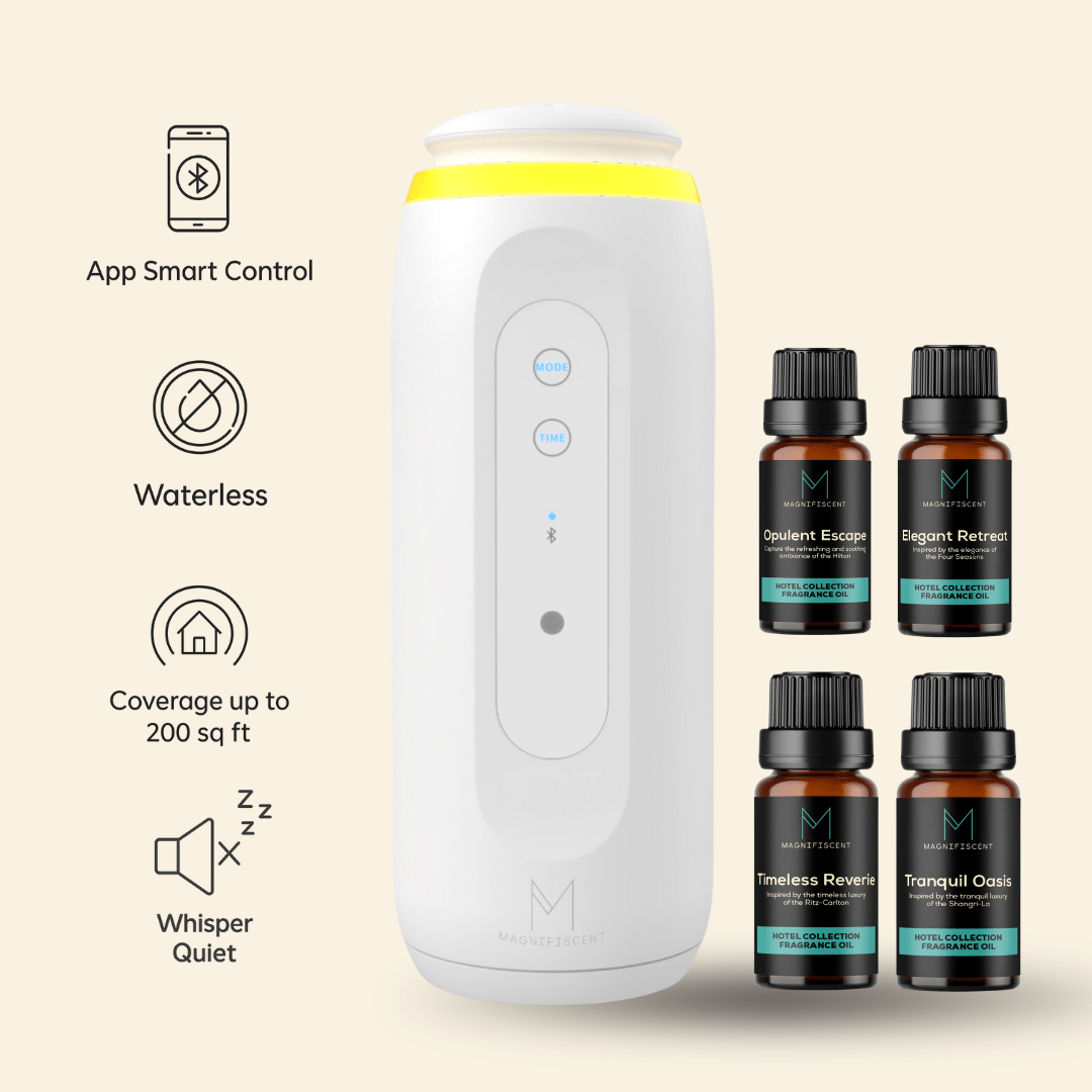 ZenPlug x Lobby Luxe Hotel Collection - Magnifiscent